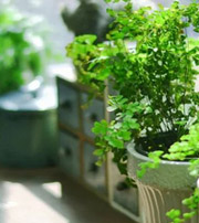 曲靖专属于你的开运指南，助你鸿运当头福满身！